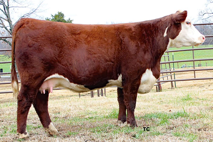 WF H 109 COUNTRYGIRL989 1570ET